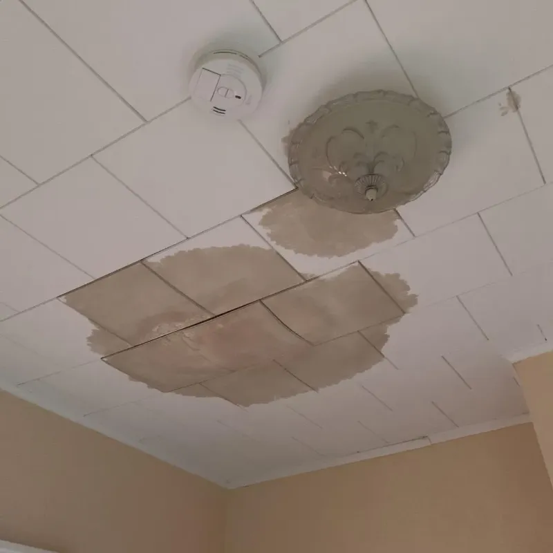 Ceiling Water Damage Repair in Henry County, MO