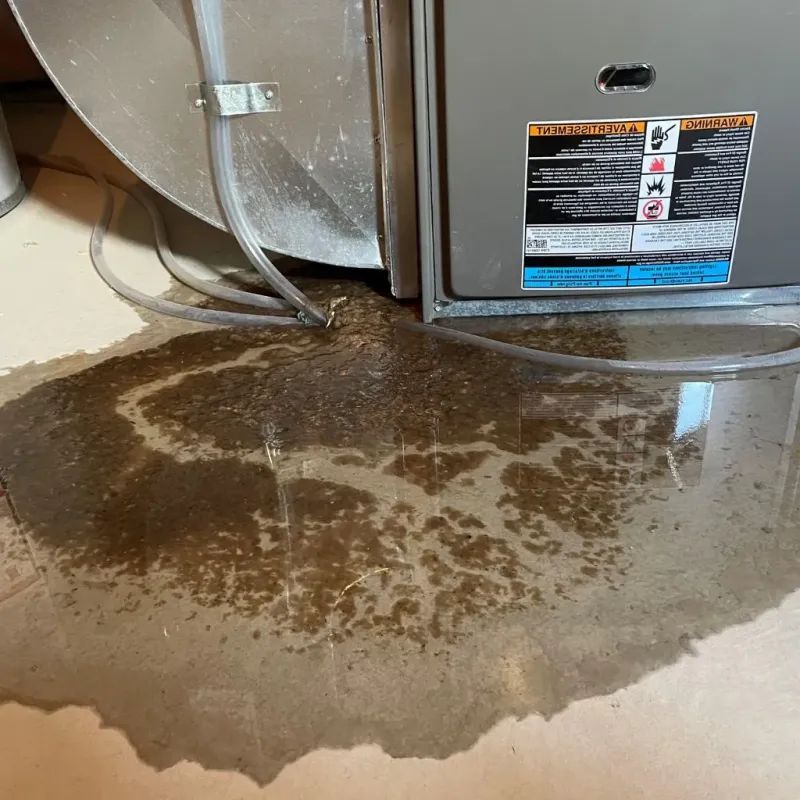 Pipe Burst and Leak Restoration in Henry County, MO