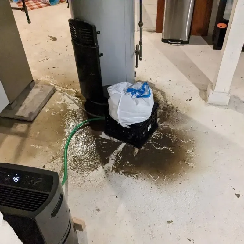 Sewage Backup Cleanup Service in Henry County, MO